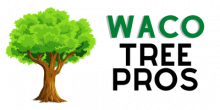 Waco-Tree-White-logo