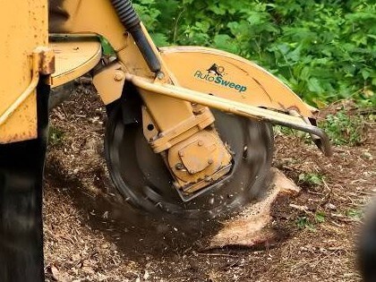 stump-removal-Waco-tx2